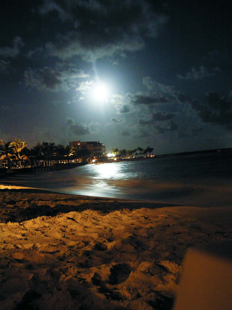 Immaginedi Una Spiaggia In Una Luminosa Notte Di Luna