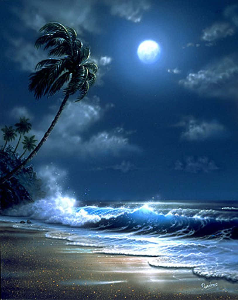 Imagende Una Playa Nocturna Con Un Árbol Alto