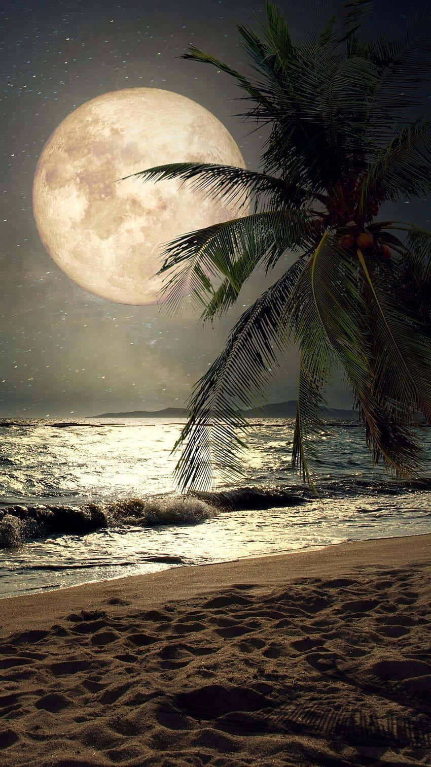 Immaginedi Una Spiaggia Notturna Con Palme.