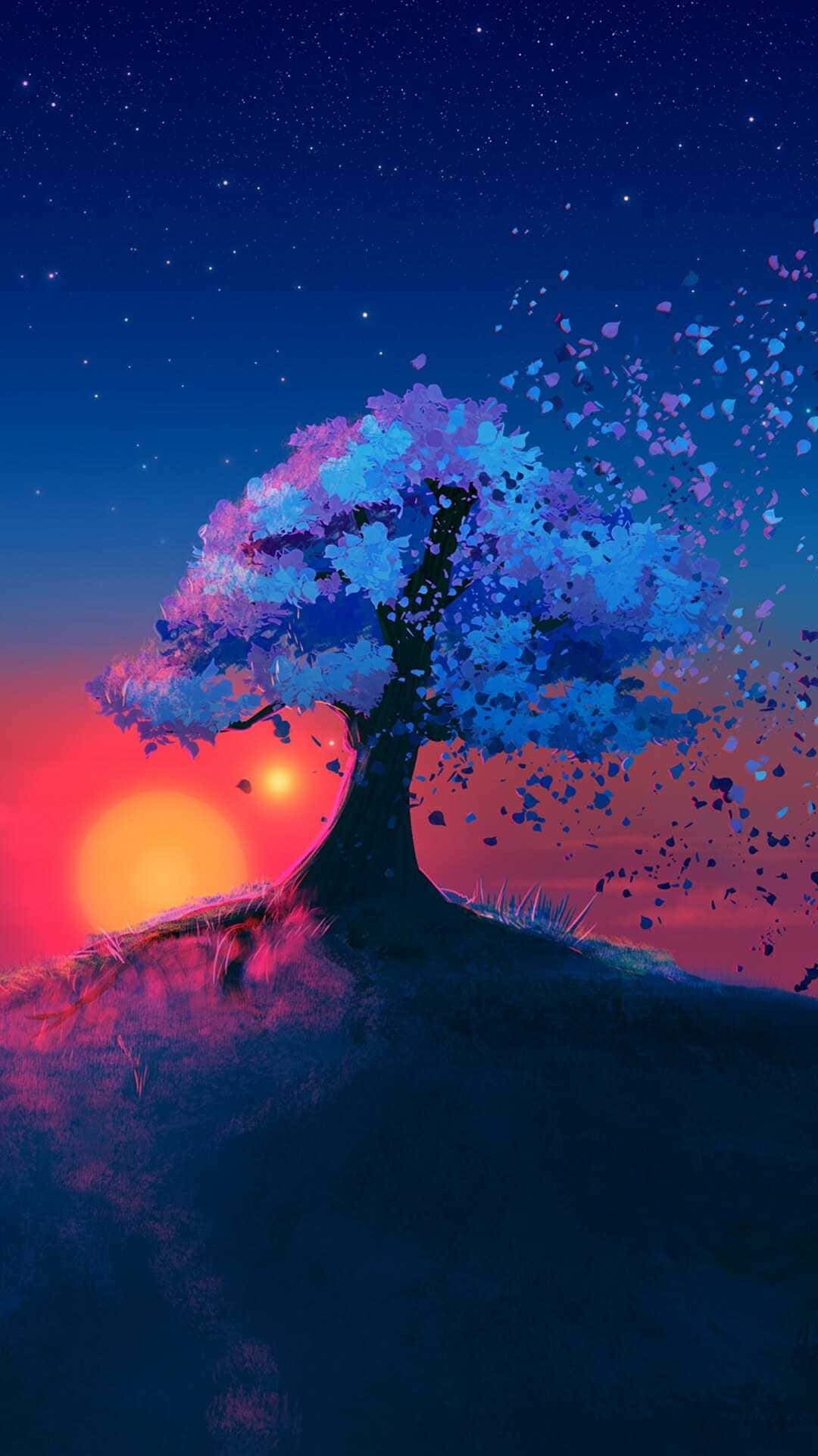 Unahermosa Vista Nocturna De Cerezos En Flor Fondo de pantalla