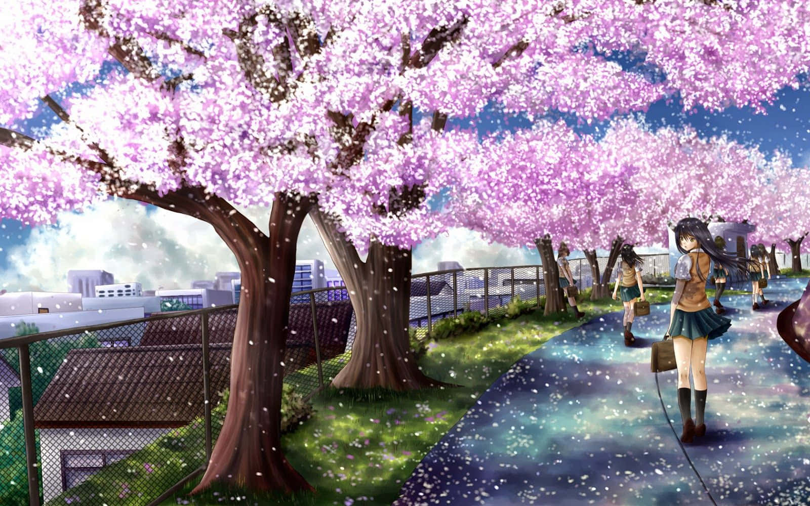 Einin Falten Gelegter Nachthimmel, Der Mit Wunderschönen Kirschblüten Gefüllt Ist Wallpaper