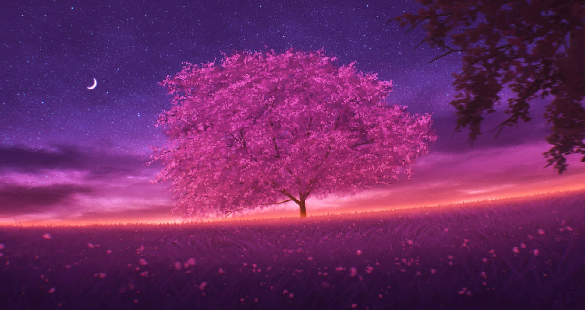 Get lost in the beauty of this night cherry blossom tree Wallpaper