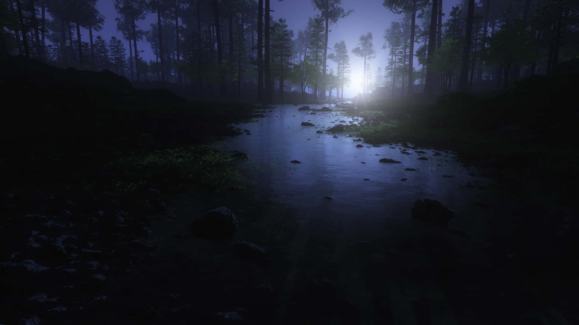 Explore the mysterious beauty of the Night Forest Wallpaper