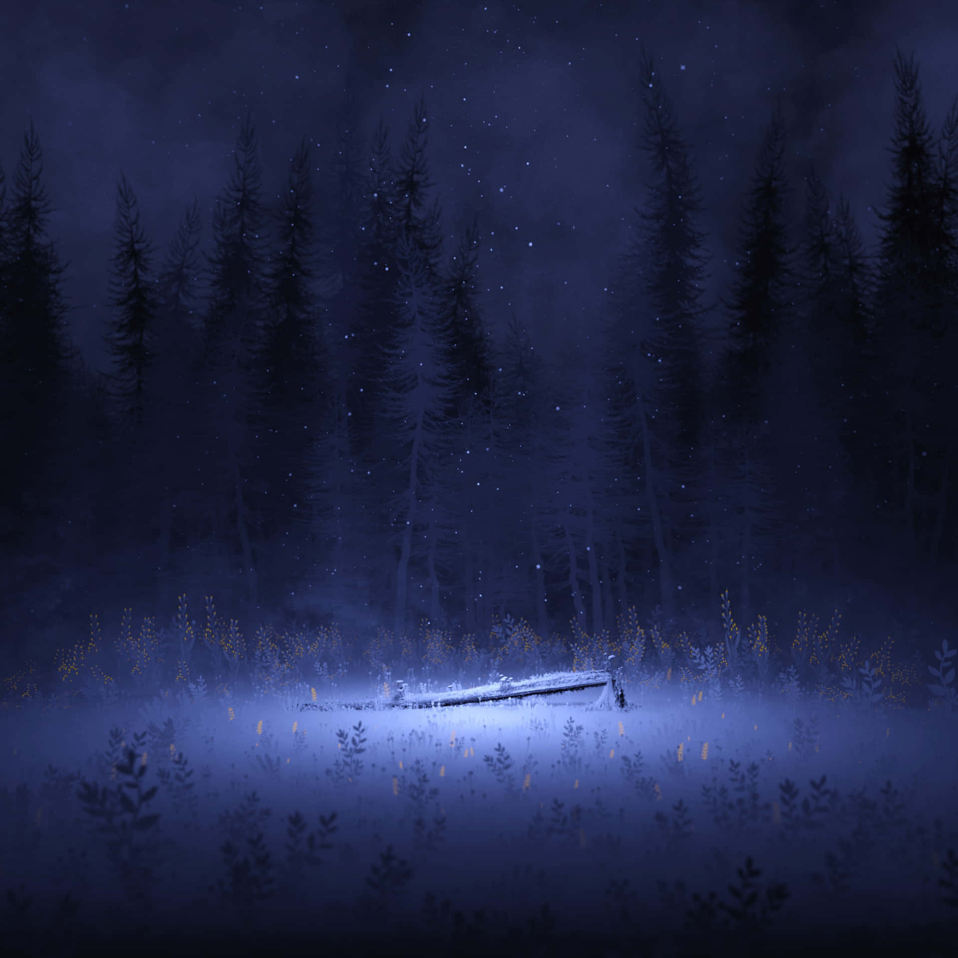 The Night Forest Wallpaper