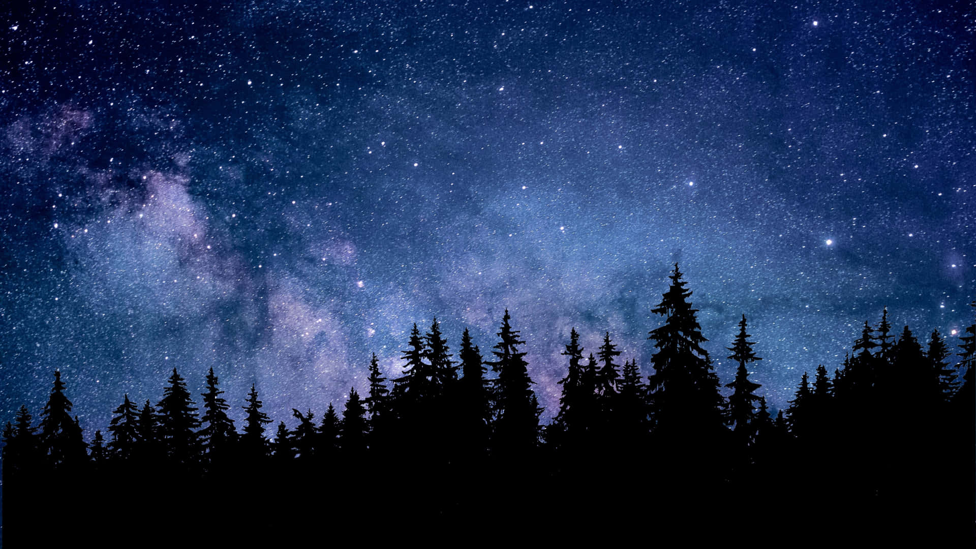 The calming sounds of the peaceful night forest. Wallpaper