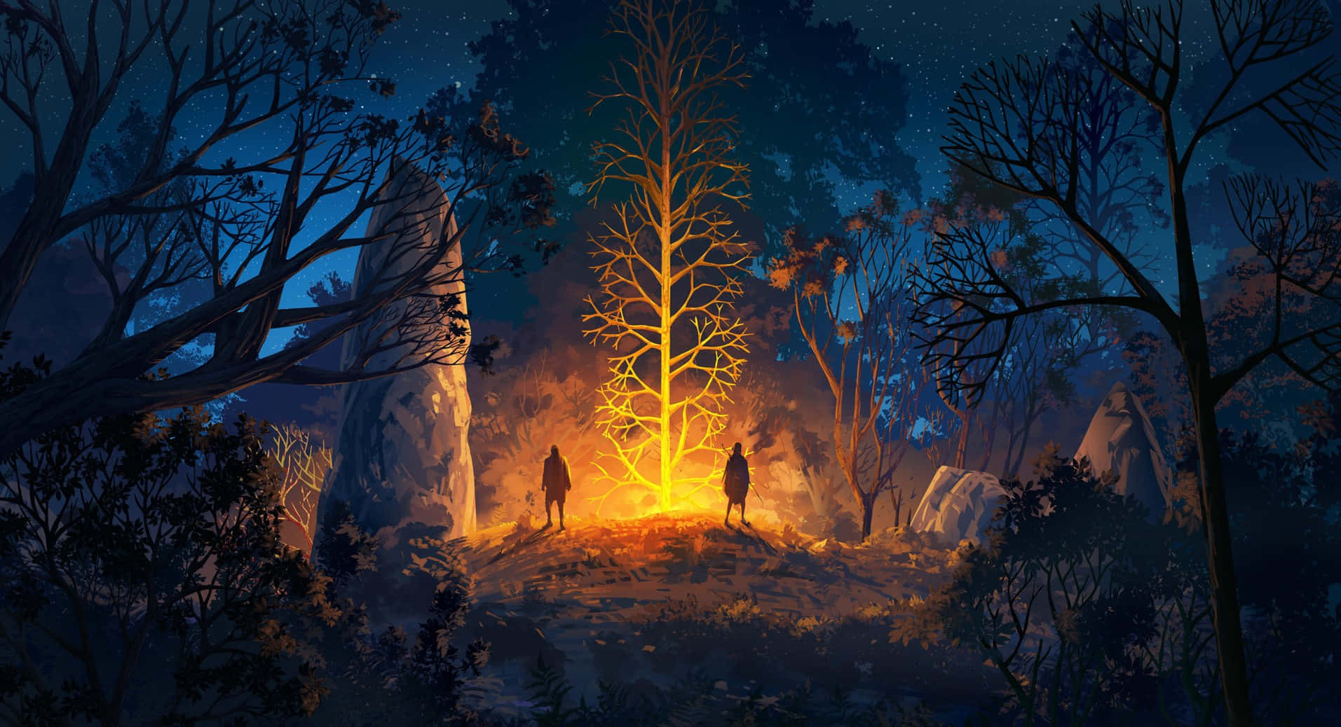 Explore the Mystique of a Nighttime Forest Wallpaper