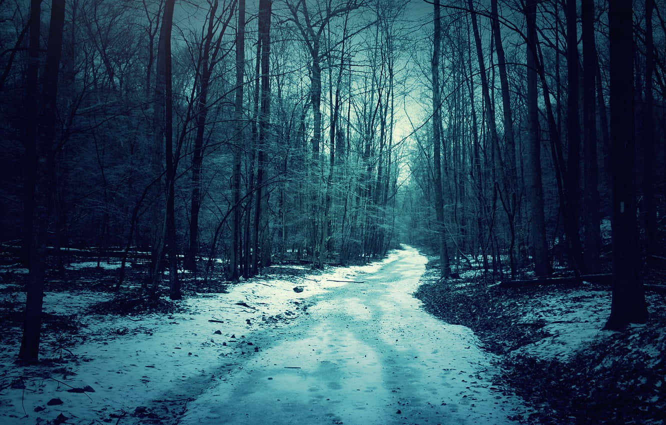 A Snowy Path In The Woods With A Dark Sky Wallpaper