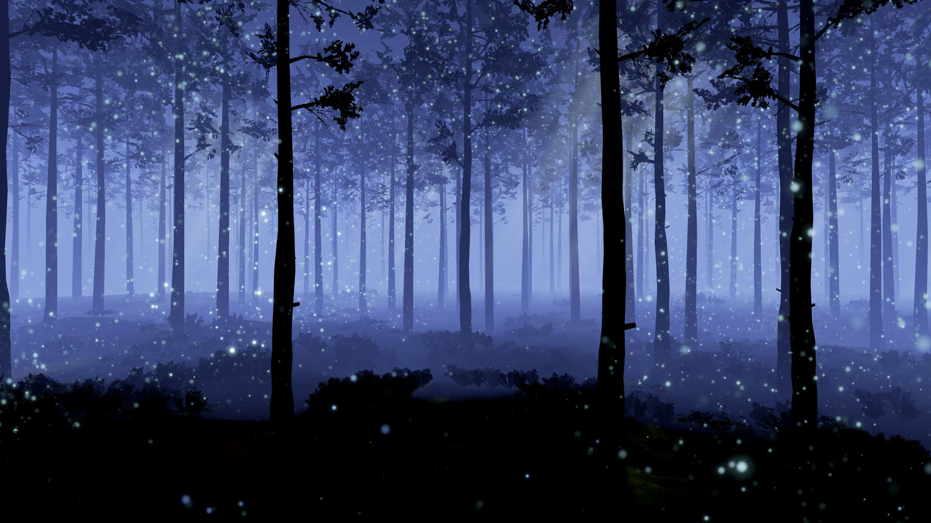 Free Night Forest Wallpaper Downloads, [100+] Night Forest Wallpapers for  FREE 