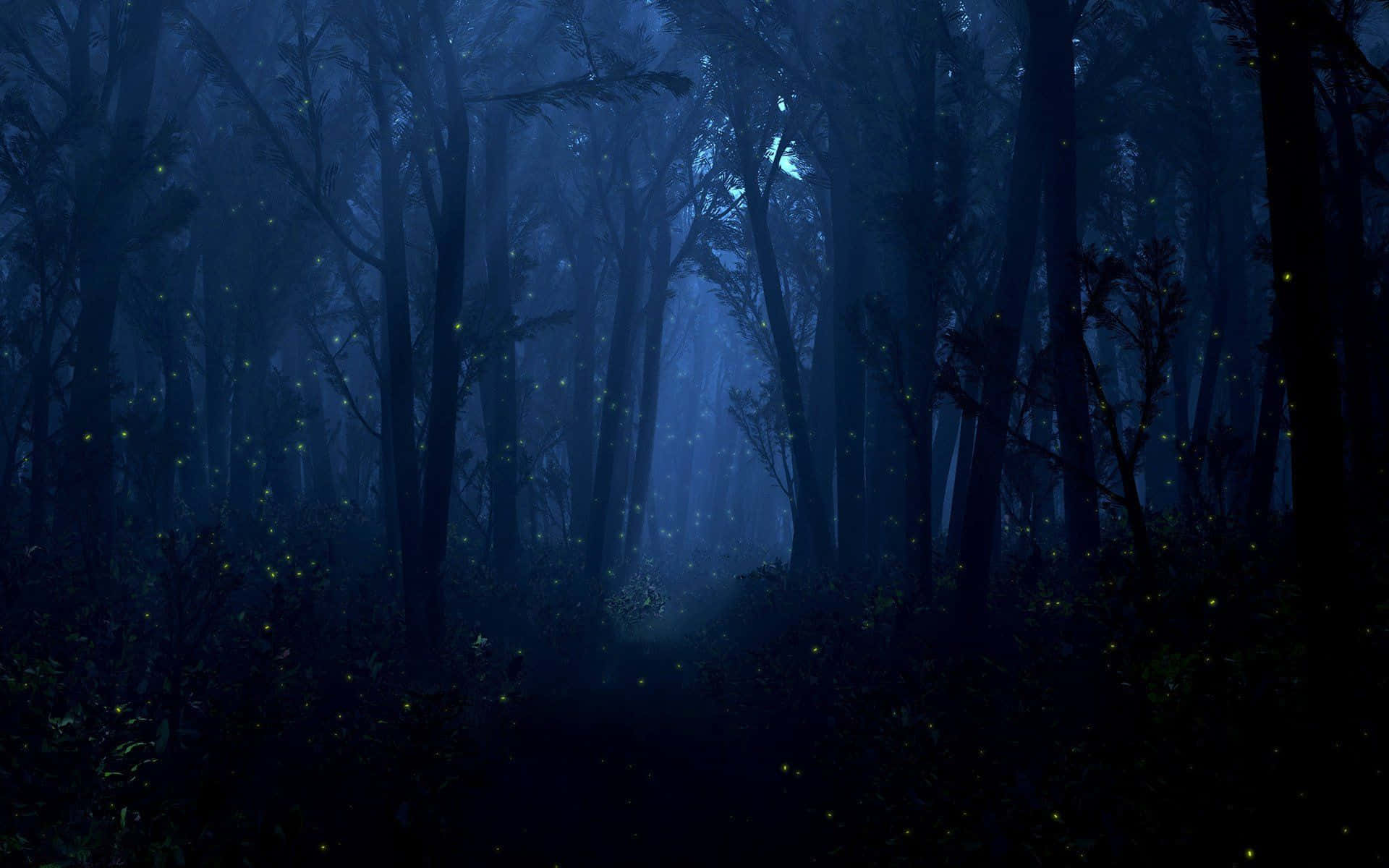 Delve Deep Into The Mystical Night Forest Wallpaper