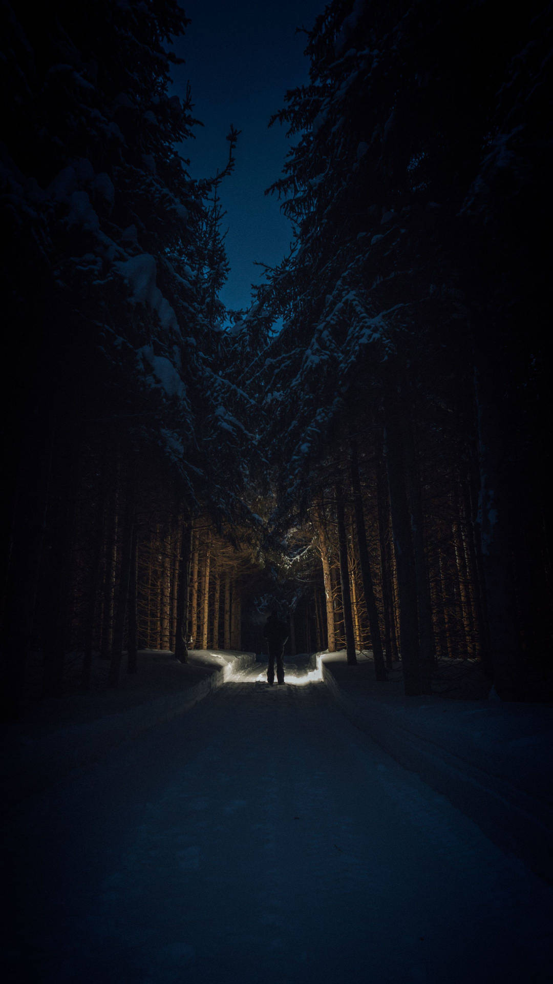 Night In The Forest 4K Ultra HD Dark Phone Wallpaper