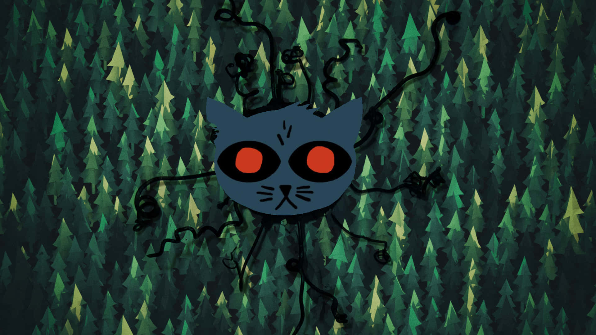 Nocheen Los Bosques - Gato Enfadado Fondo de pantalla
