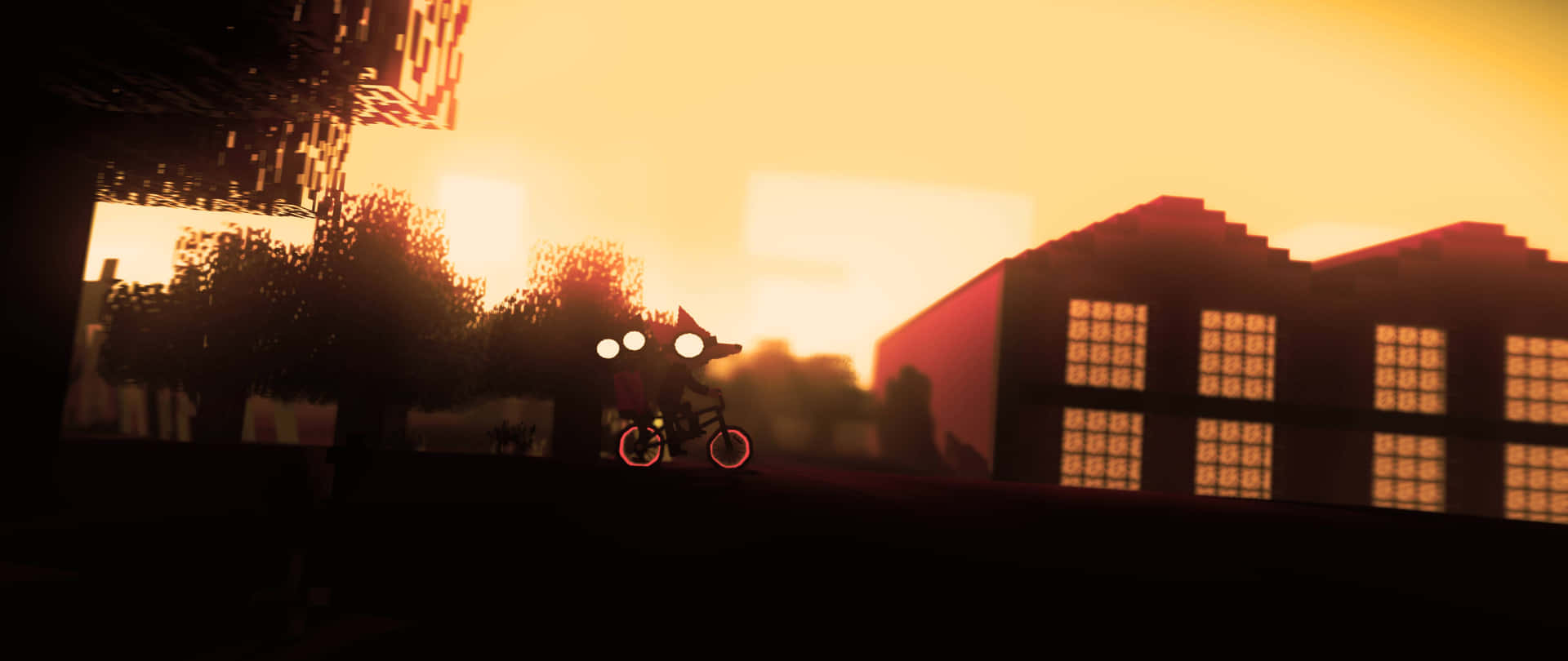 Nocheen El Bosque En Bicicleta. Fondo de pantalla