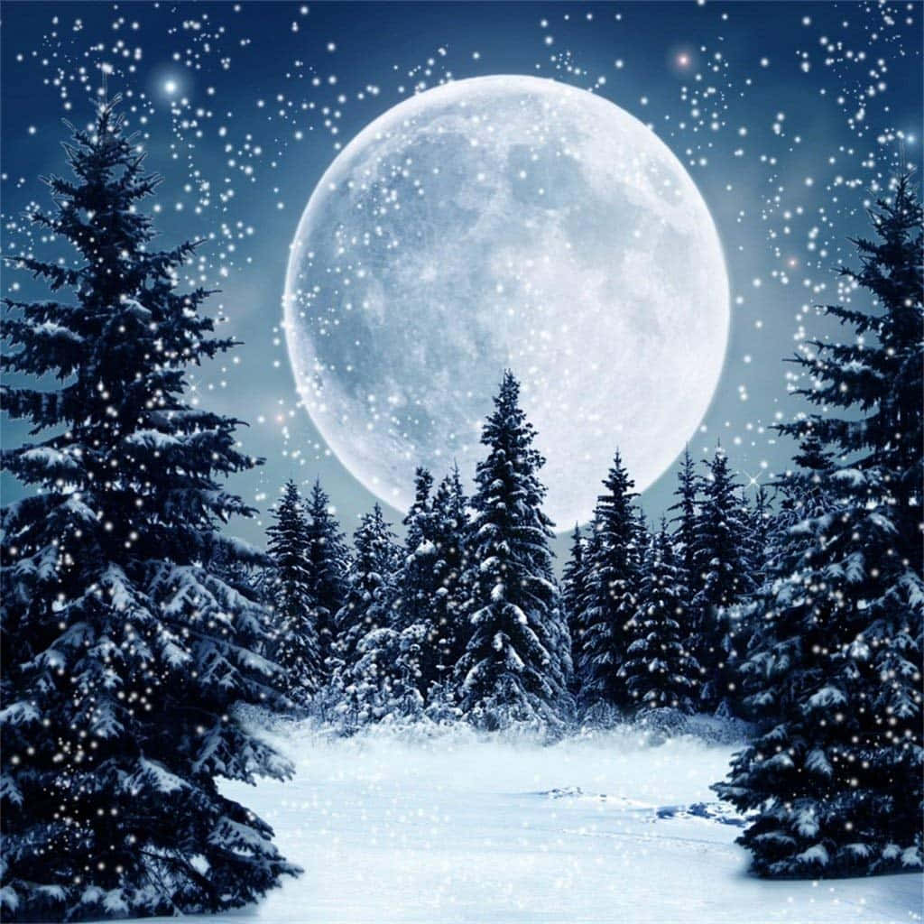 Imagende La Luna Nocturna Impresionante