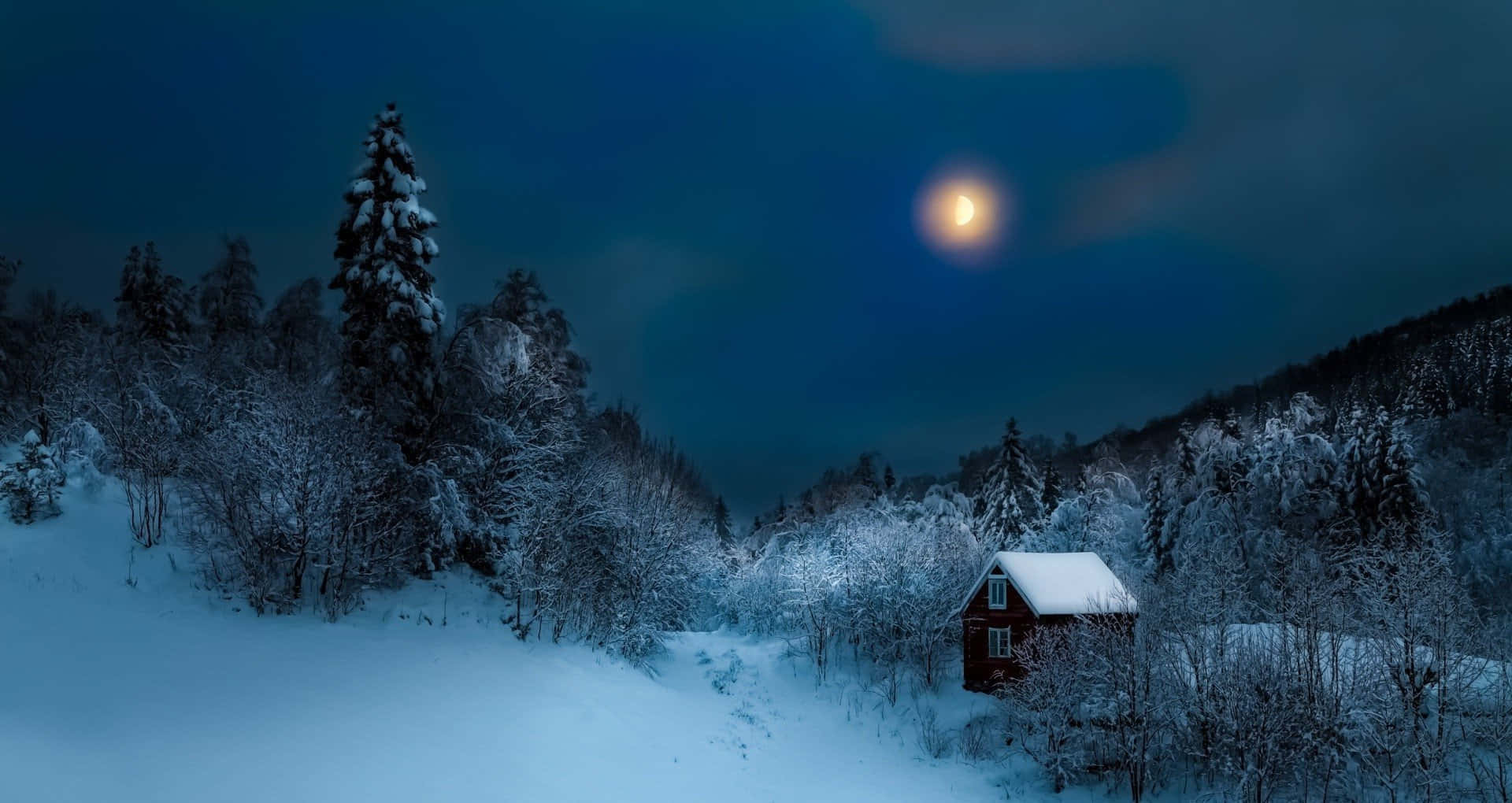 Night Moon Wonderful Picture