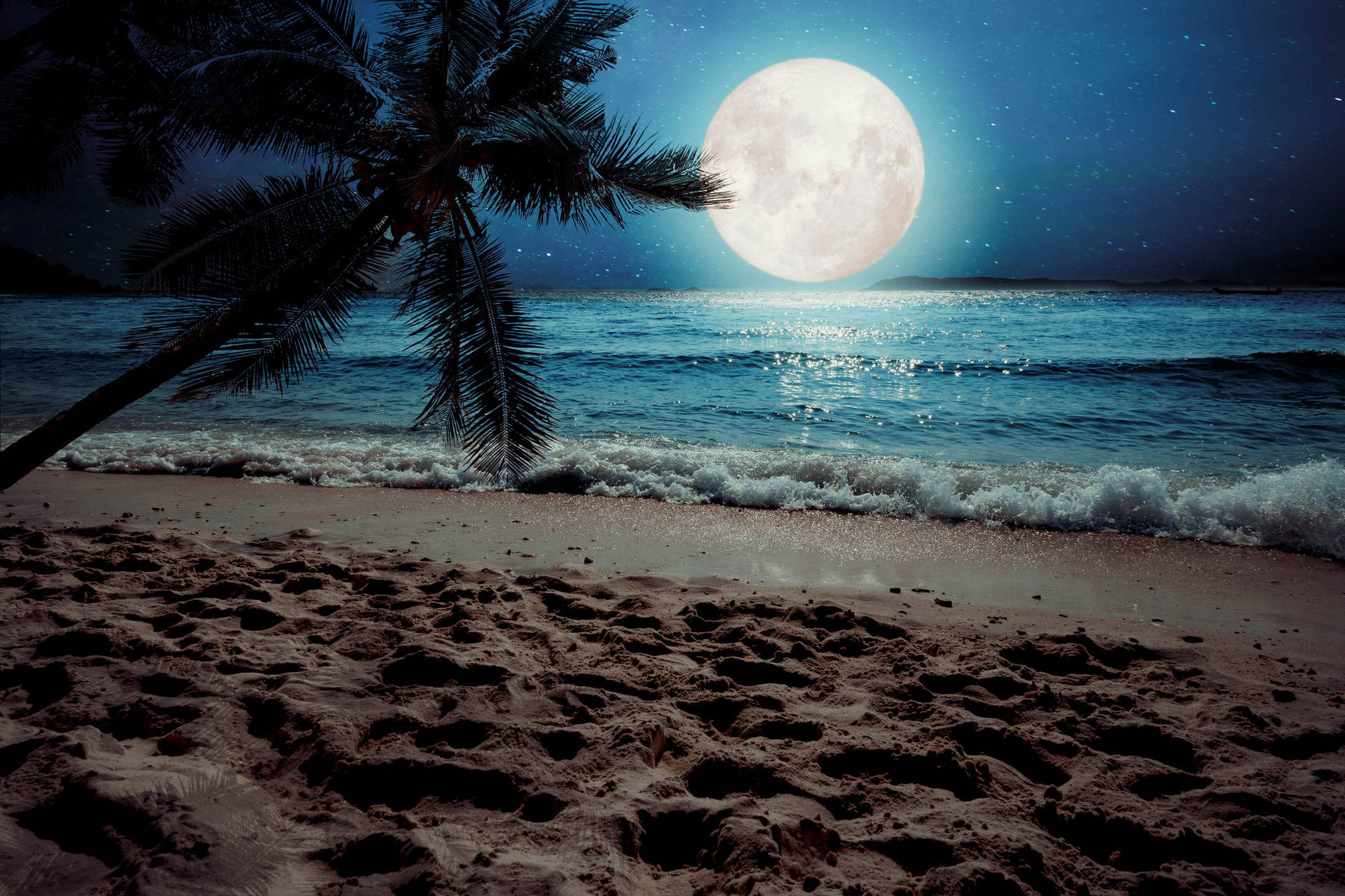 Night On The Beach Picture