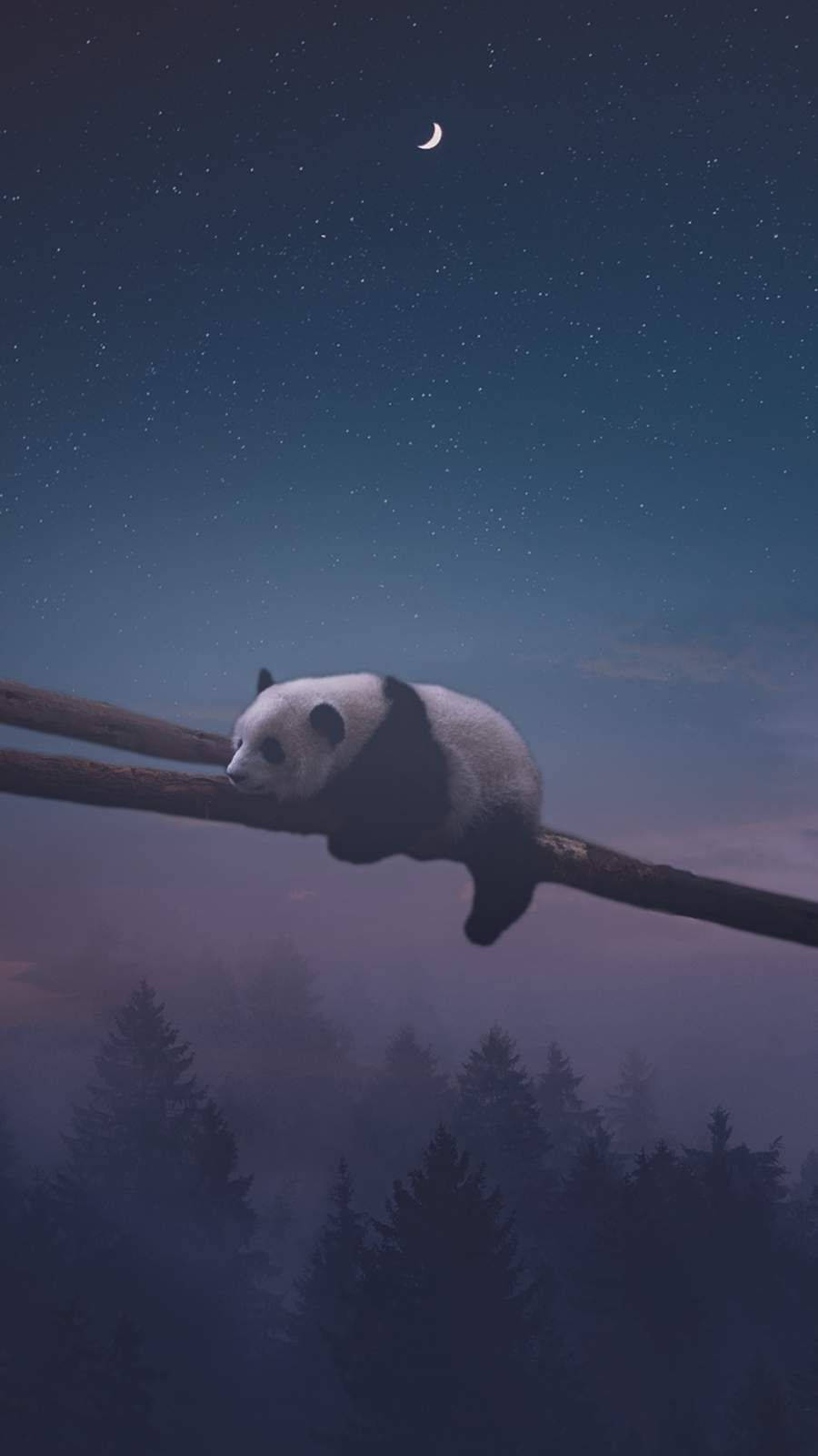 Night Panda Sleep Wallpaper