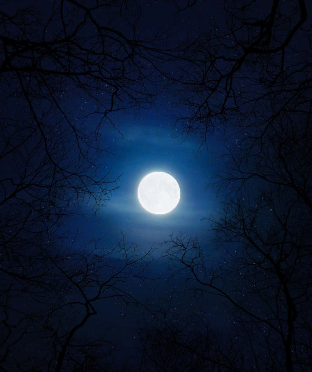 Immaginedi Cielo Notturno E Luna Piena