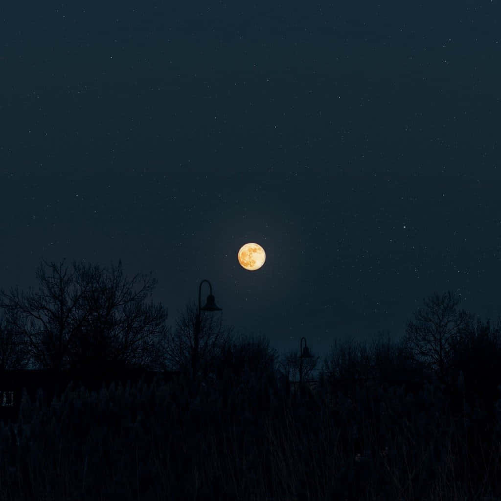 Natthimmel Och Måne Från Ett Fält Bild