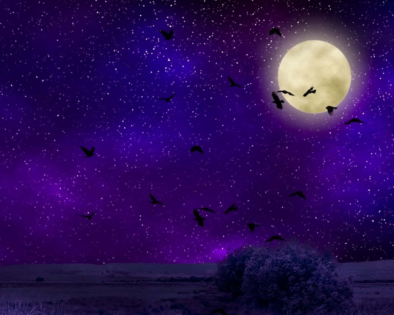 Birds Flying Amid Purple Night Sky Moon Picture
