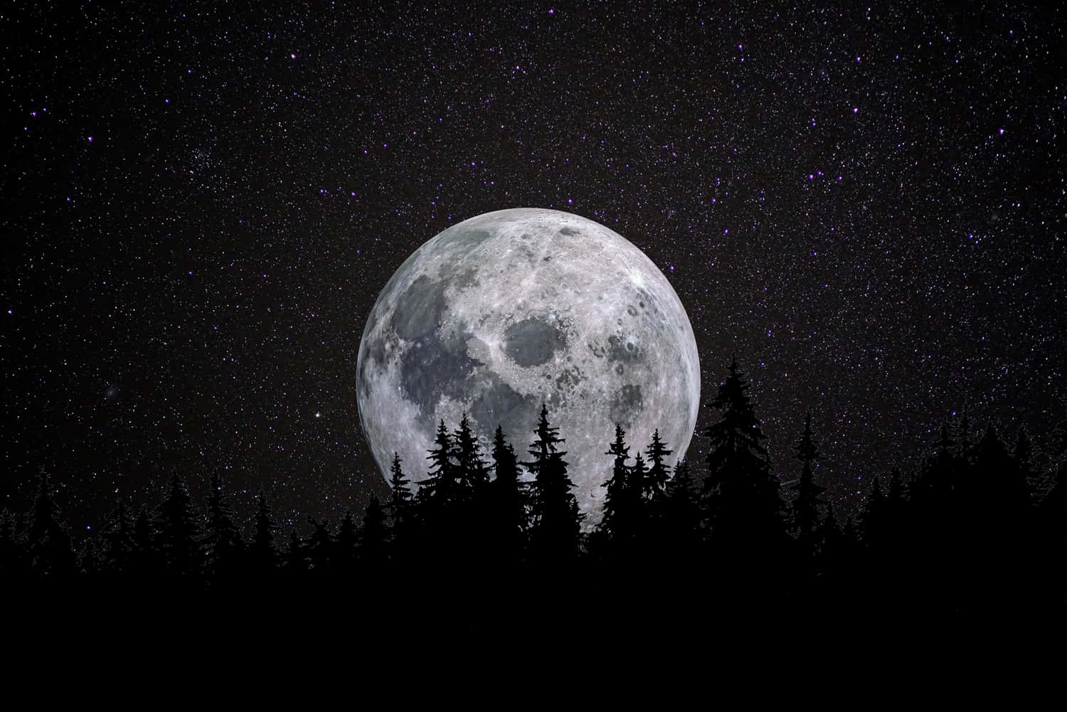 Imagendel Cielo Nocturno Con La Luna Frente A Un Bosque De Pinos.