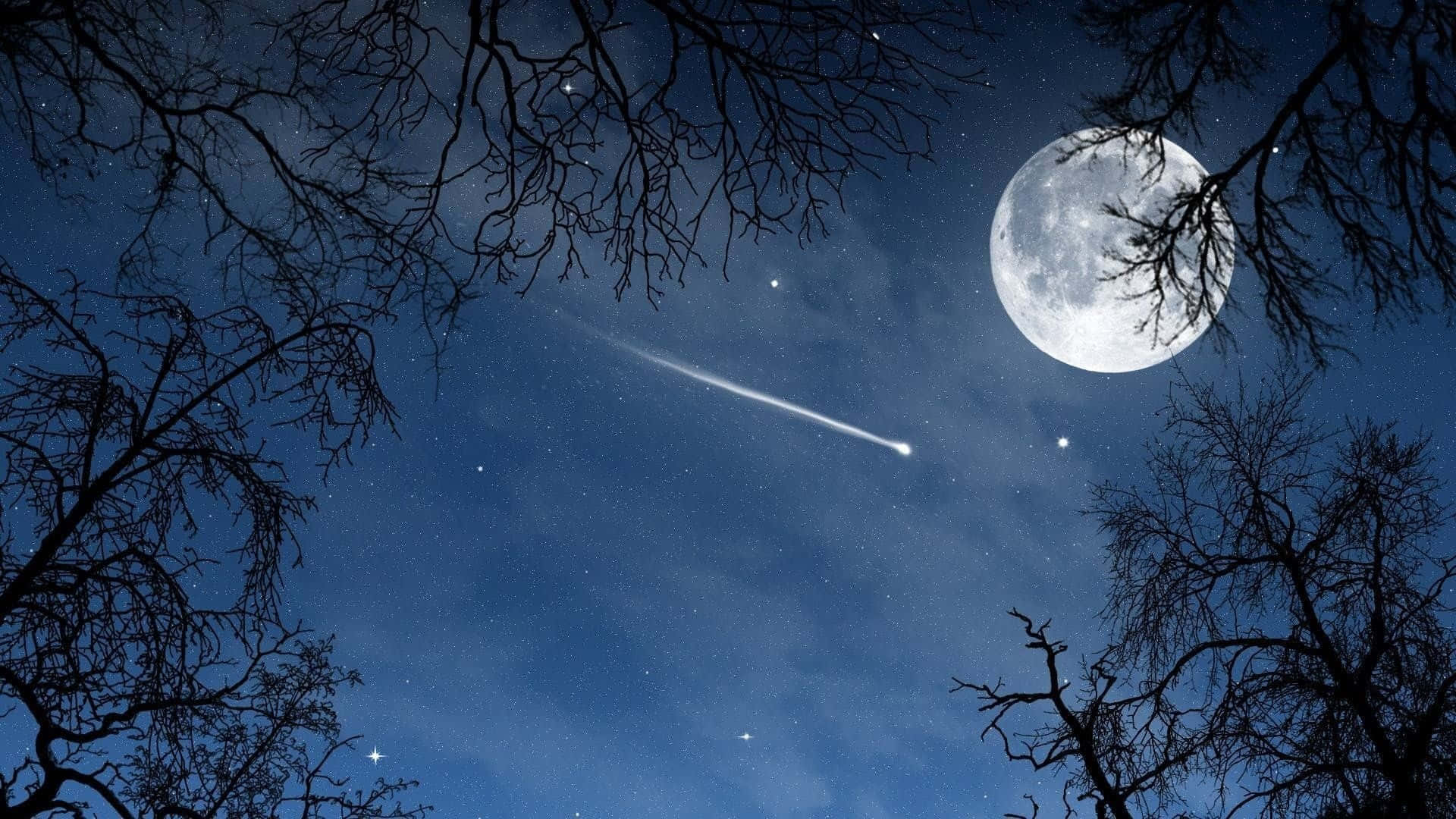 Night Sky Moon And Shooting Star Picture
