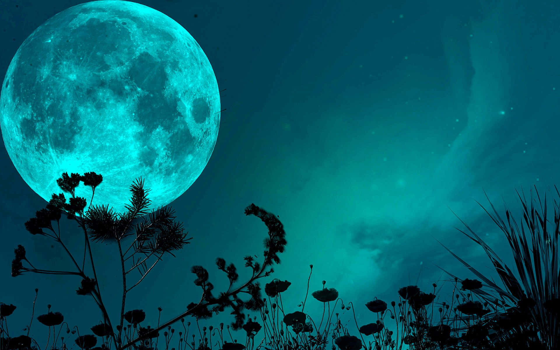 Cyan Night Sky And Full Moon Picture