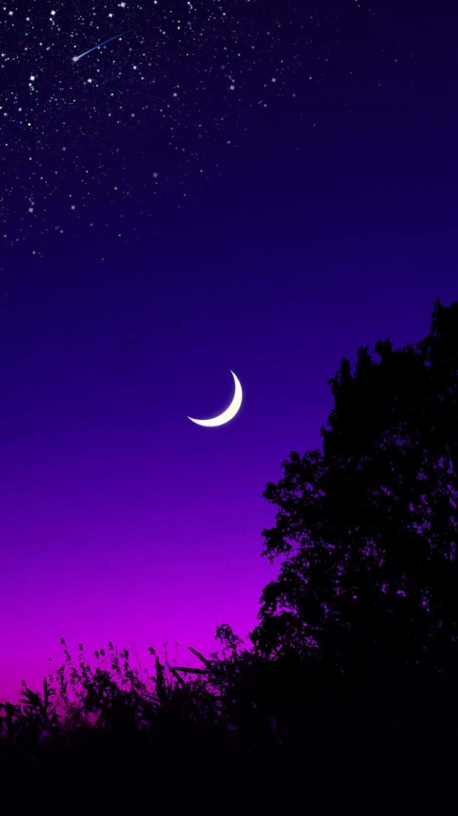 Lilablå Natt Himmel Månbild