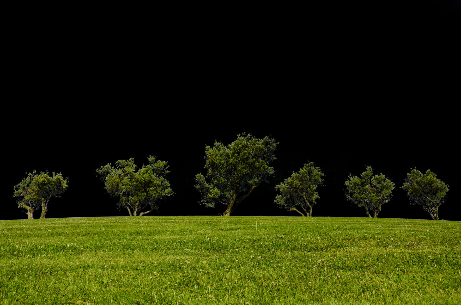 Nighttime Silhouetteof Trees Against Black Sky PNG