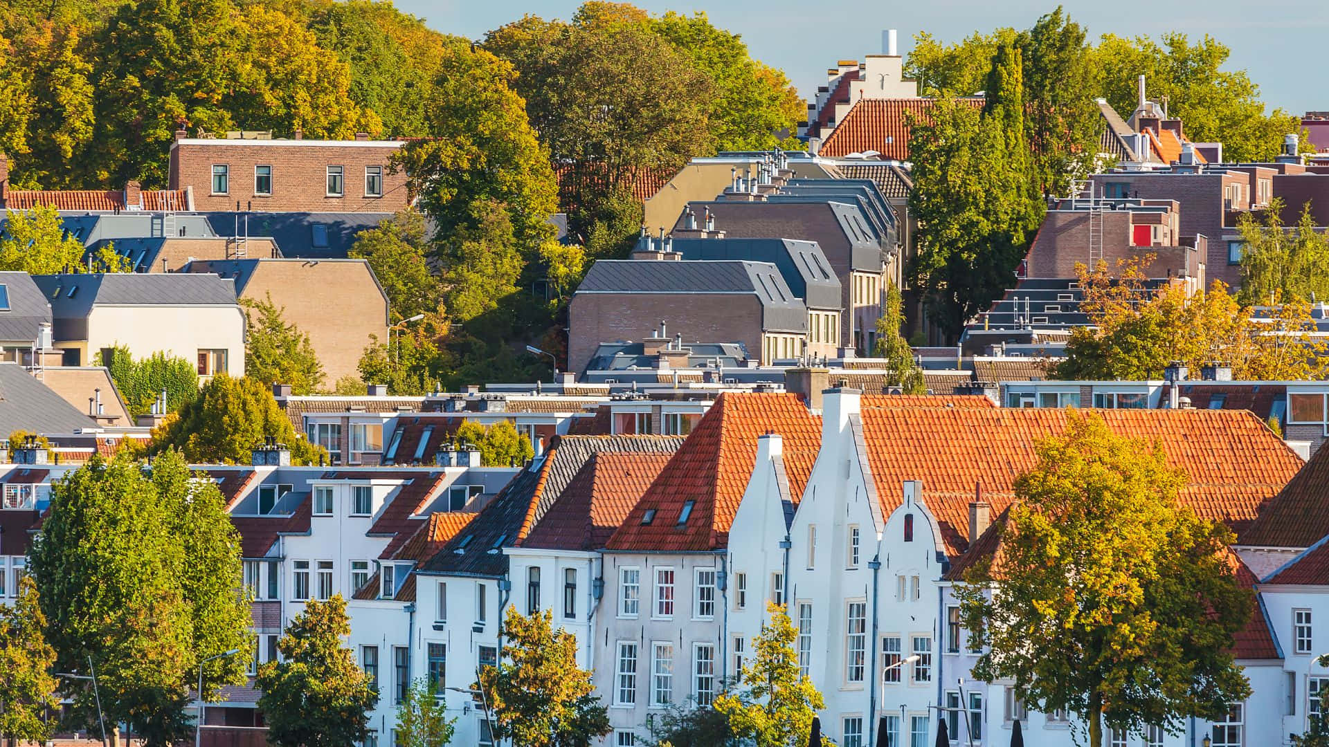 Nijmegen Cityscape Autumn Colors Wallpaper