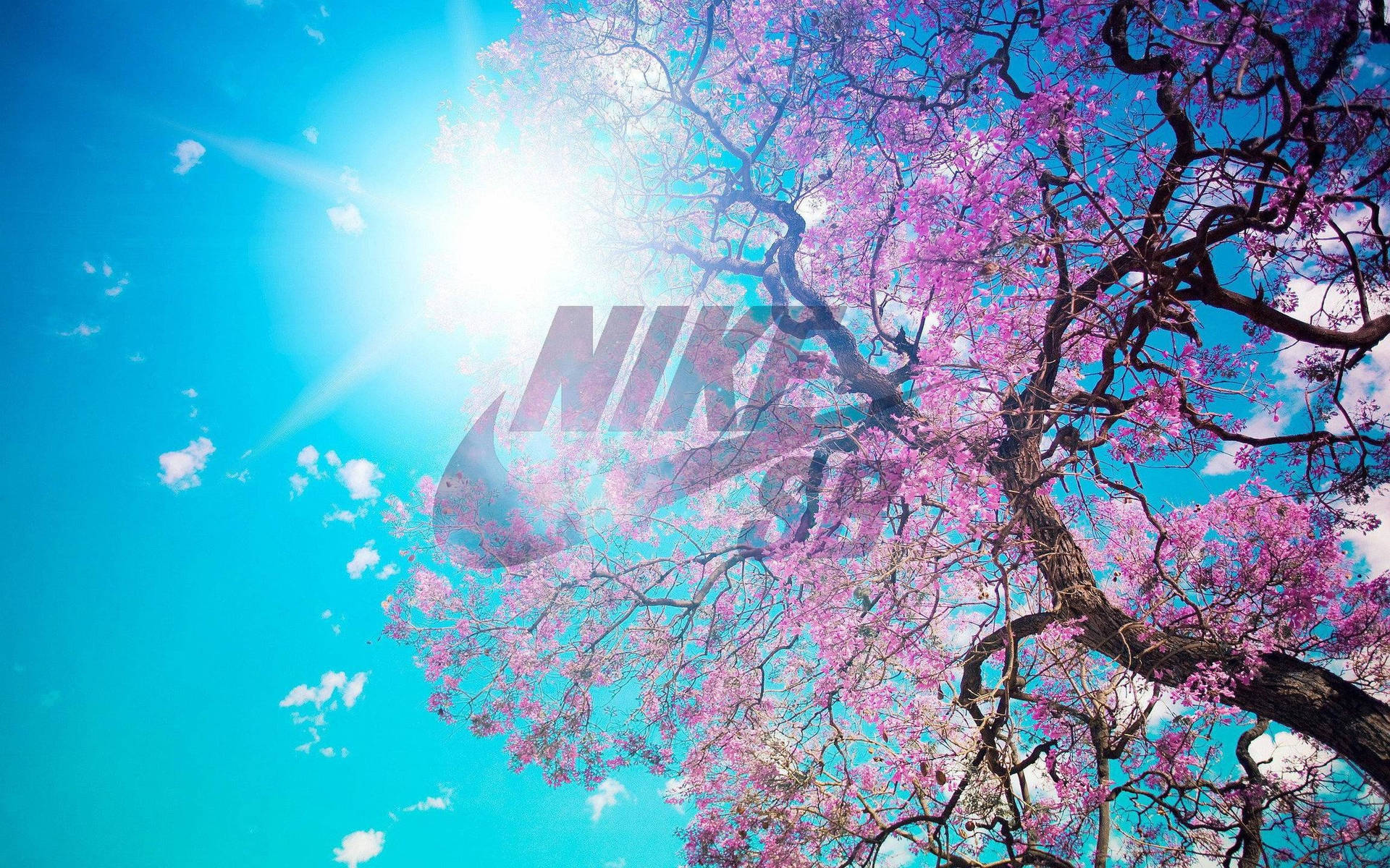 Nike Girl Cherry Blossom Tree Poster Wallpaper