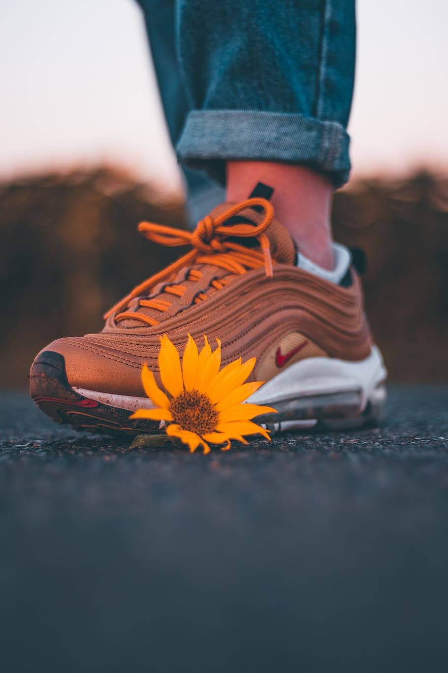 Nike Shoes And Sunflower Wallpaper