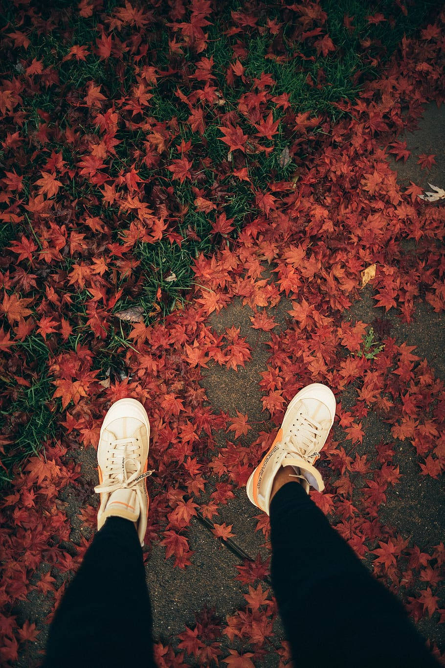 "Step into the Autumn Season with Nike Shoes" Wallpaper