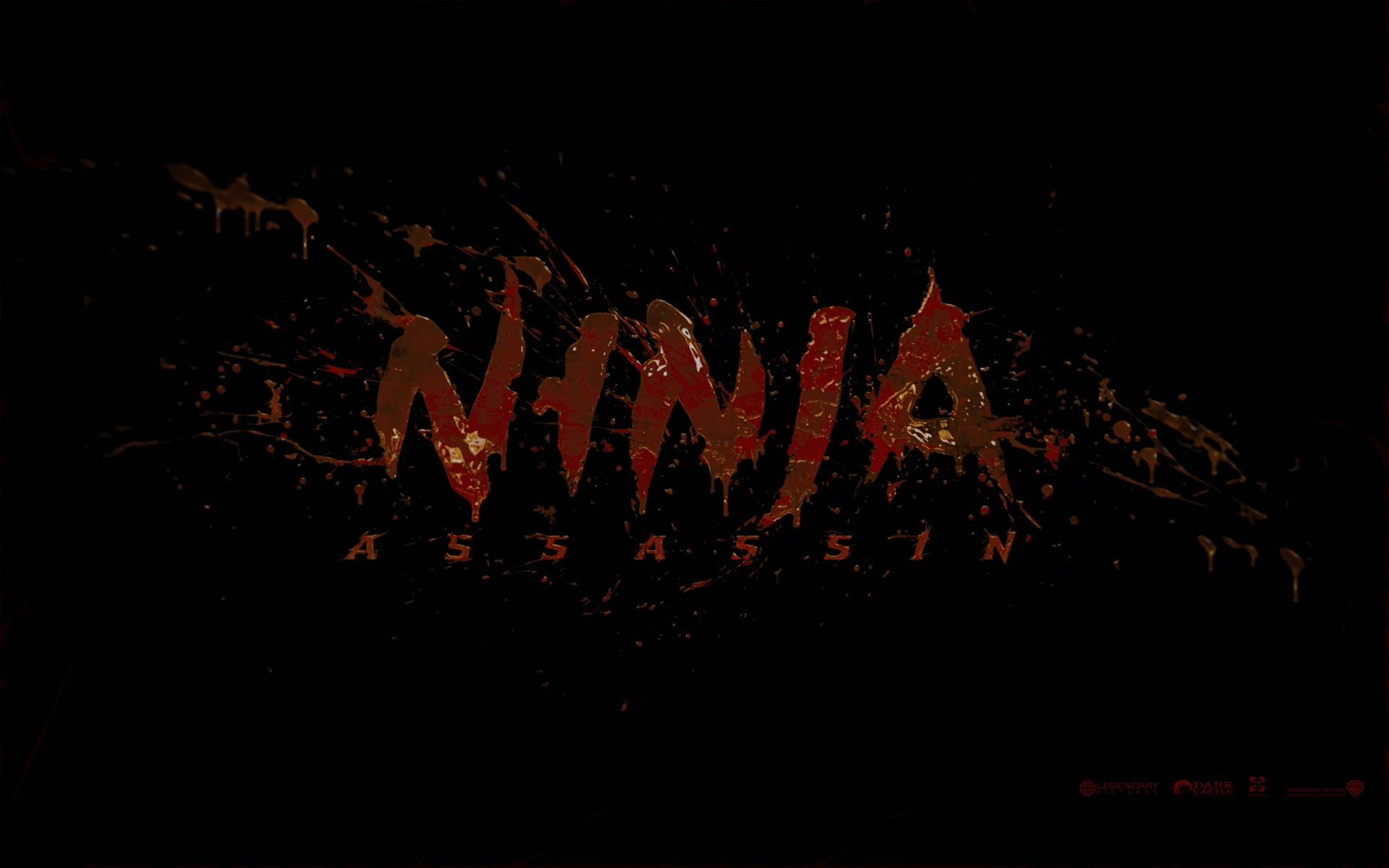 Ninja Assassin Poster Picture