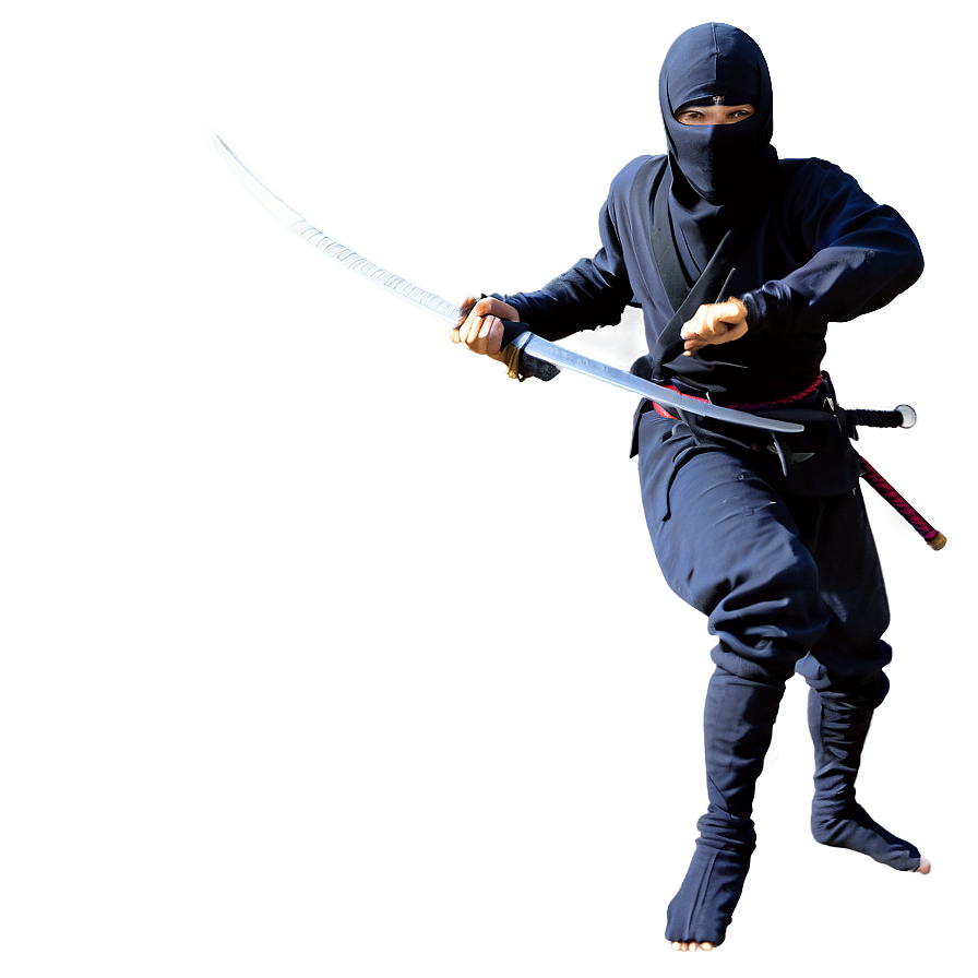 Ninja In Combat Png 06112024 PNG