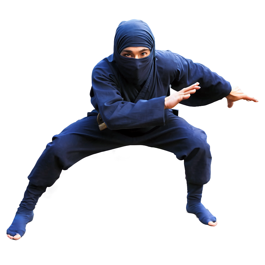 Ninja In Mid-attack Png Isv10 PNG