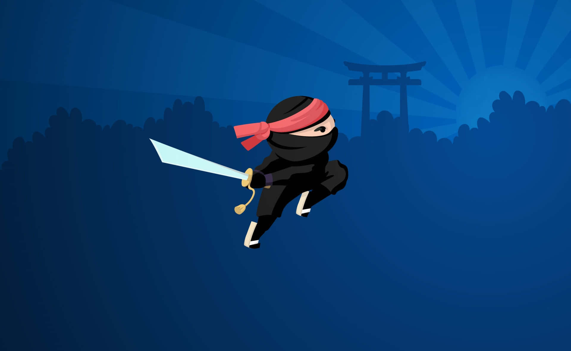 Enmystisk Ninja Redo För Strid.
