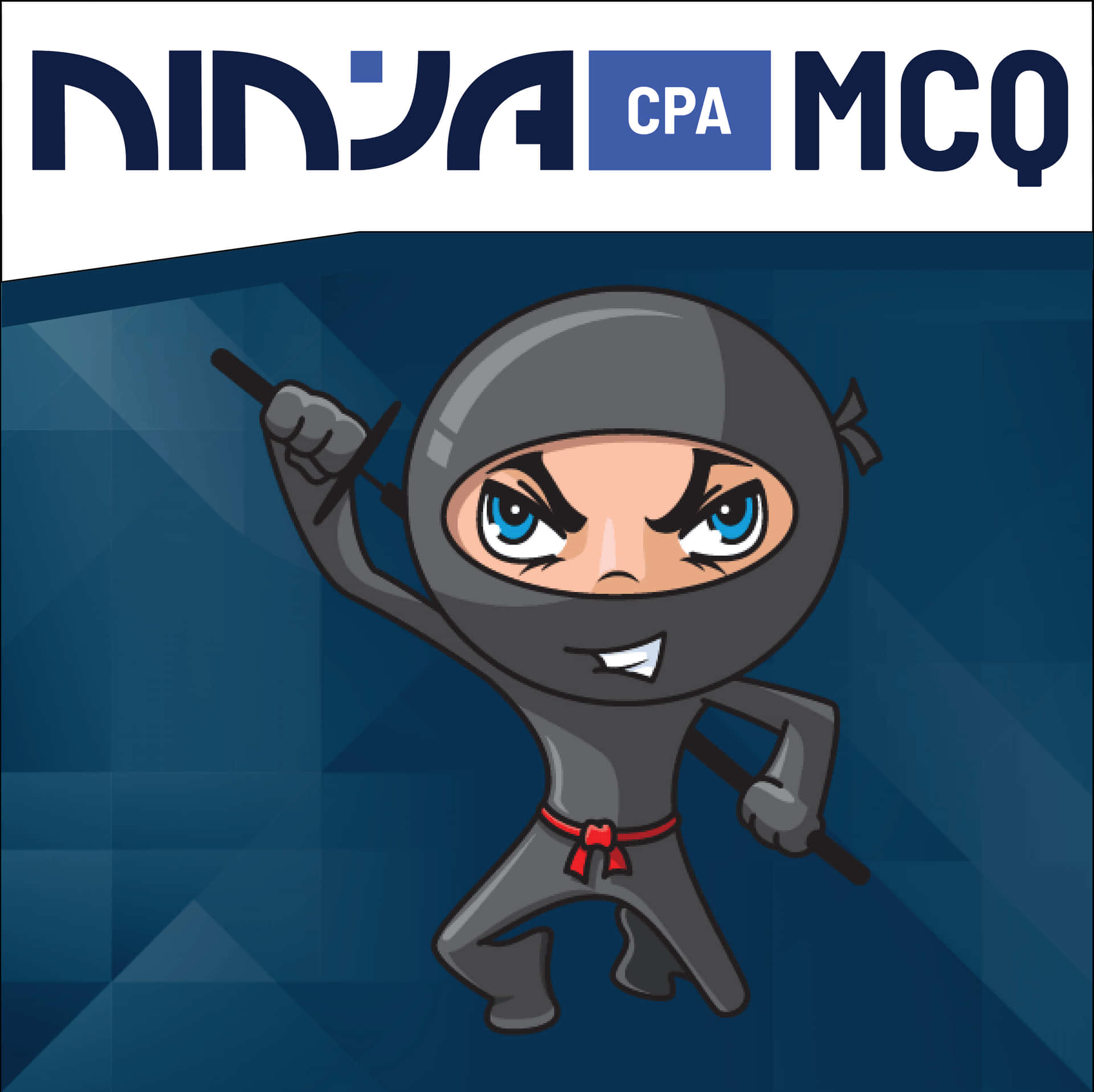 Ninja Billeder 3007 X 3003