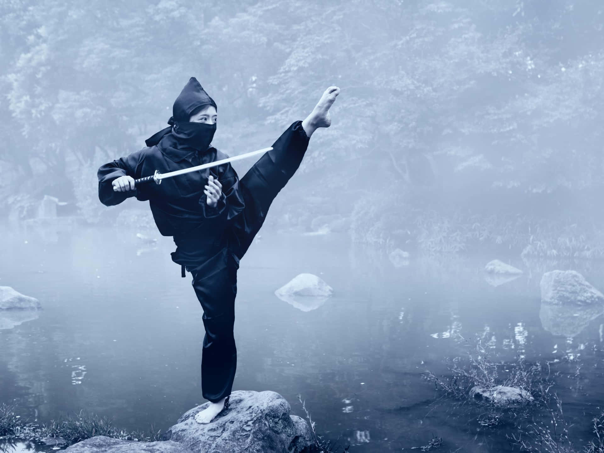 Be Like The Ninja: Strong, Silent, and Alert
