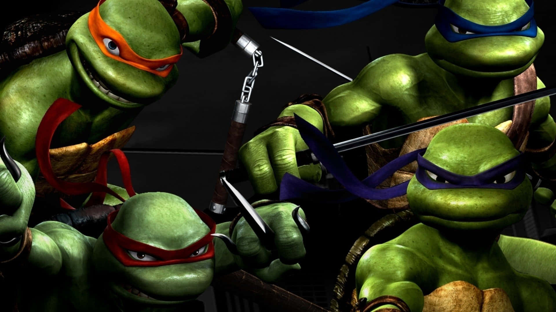 Paspå! Fire Teenage Mutant Ninja Turtles Er Klar Til At Sparke Skjold.