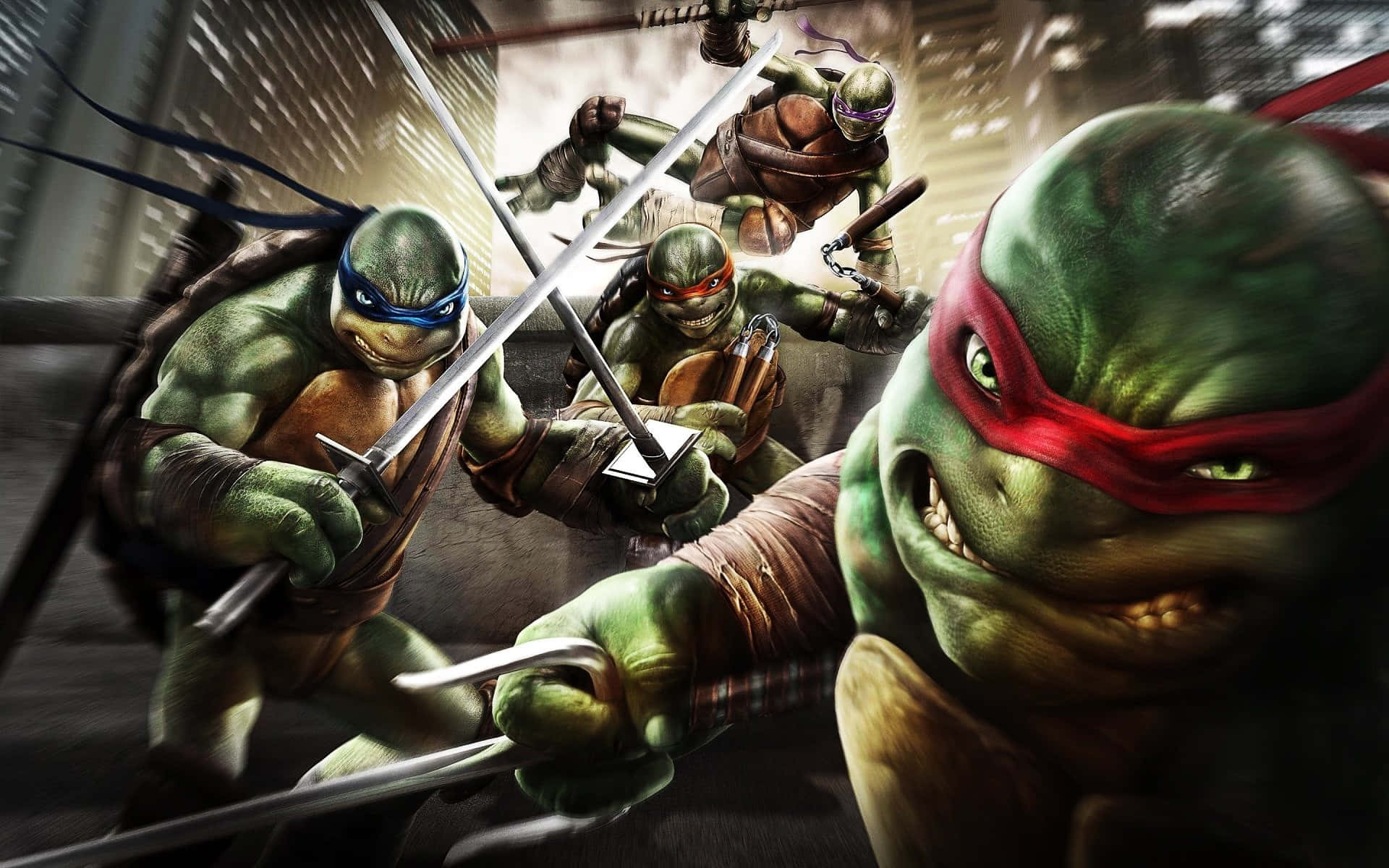 The four Ninja Turtles ready to fight evil