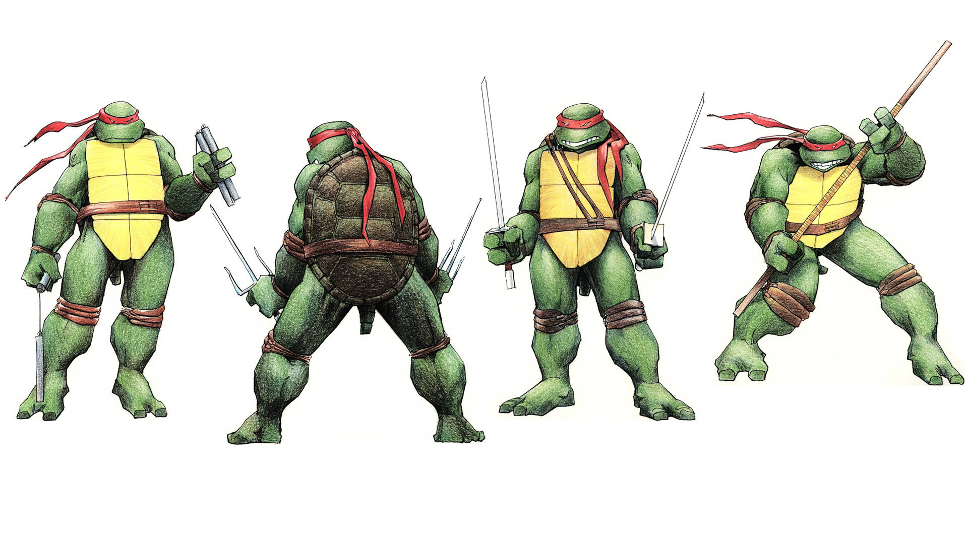 Ninja Turtle Raphael Fighting Positions Wallpaper