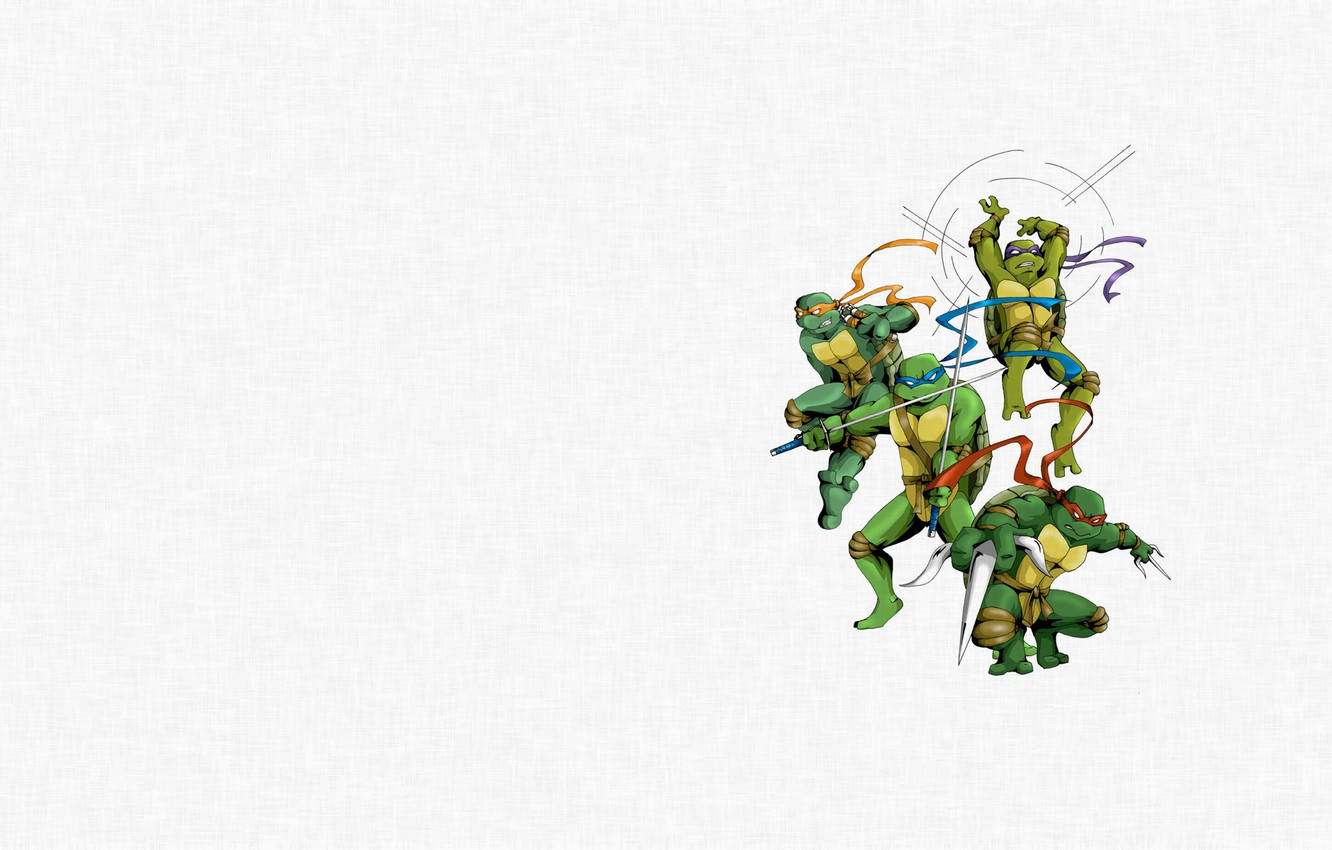 Ninja Turtle White Background Wallpaper