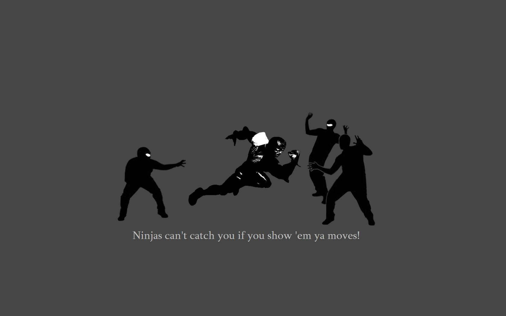Ninjas Can't Catch You Picture