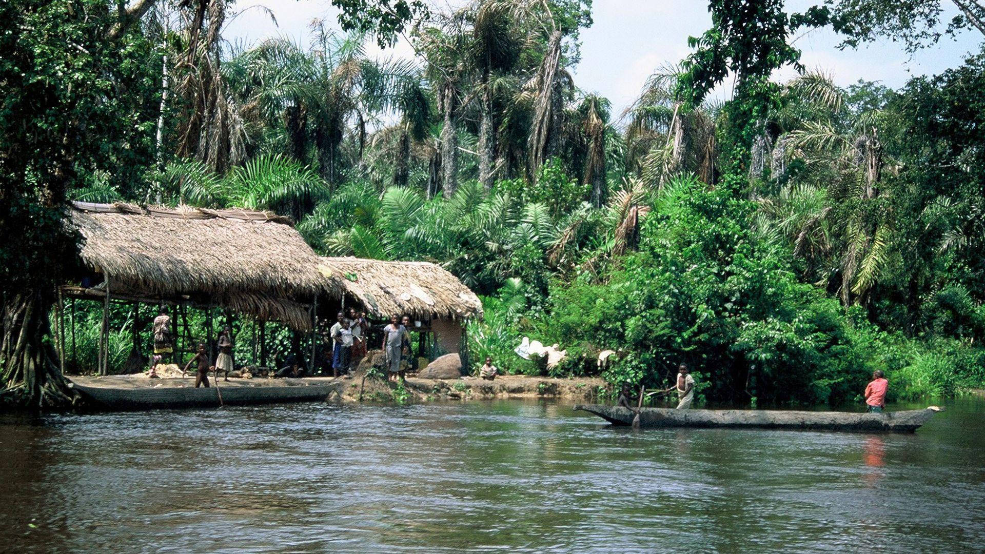 Nipa Hut In Forest Congo Wallpaper