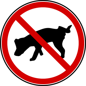 No Dogs Allowed Sign PNG