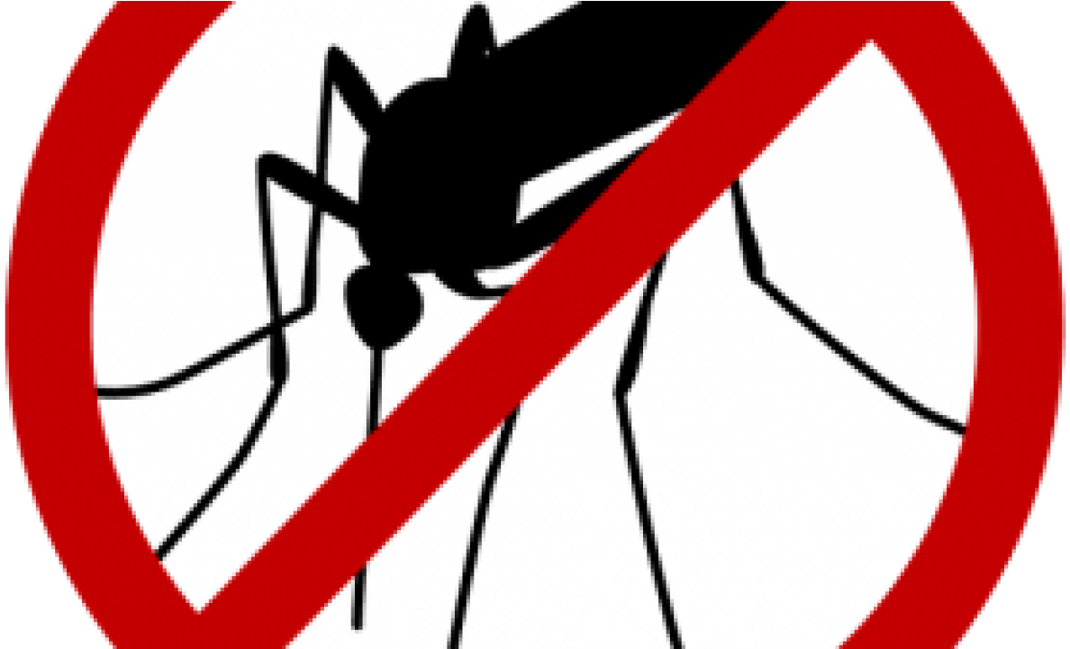 No Mosquito Sign Graphic PNG