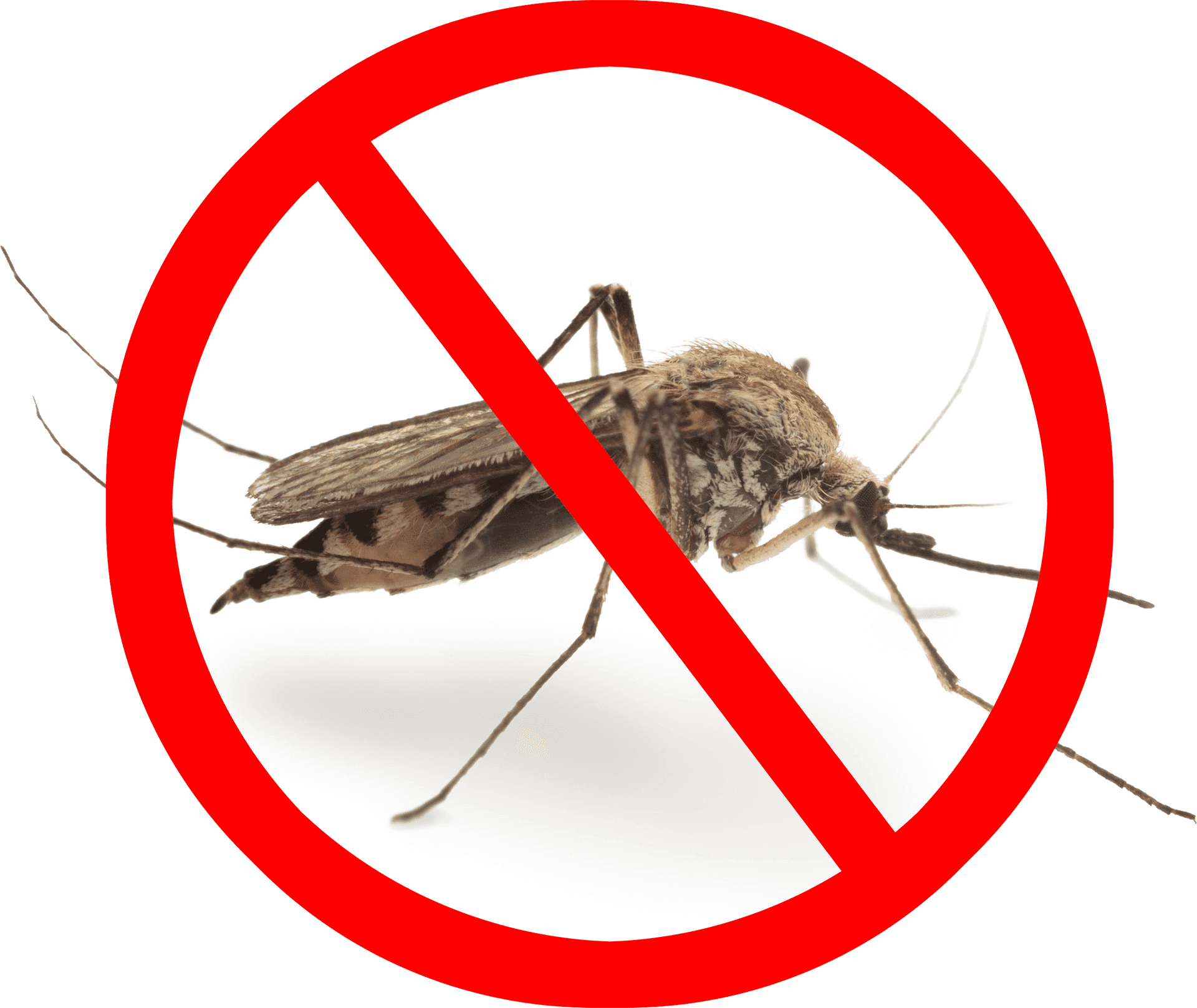 No Mosquito Sign PNG