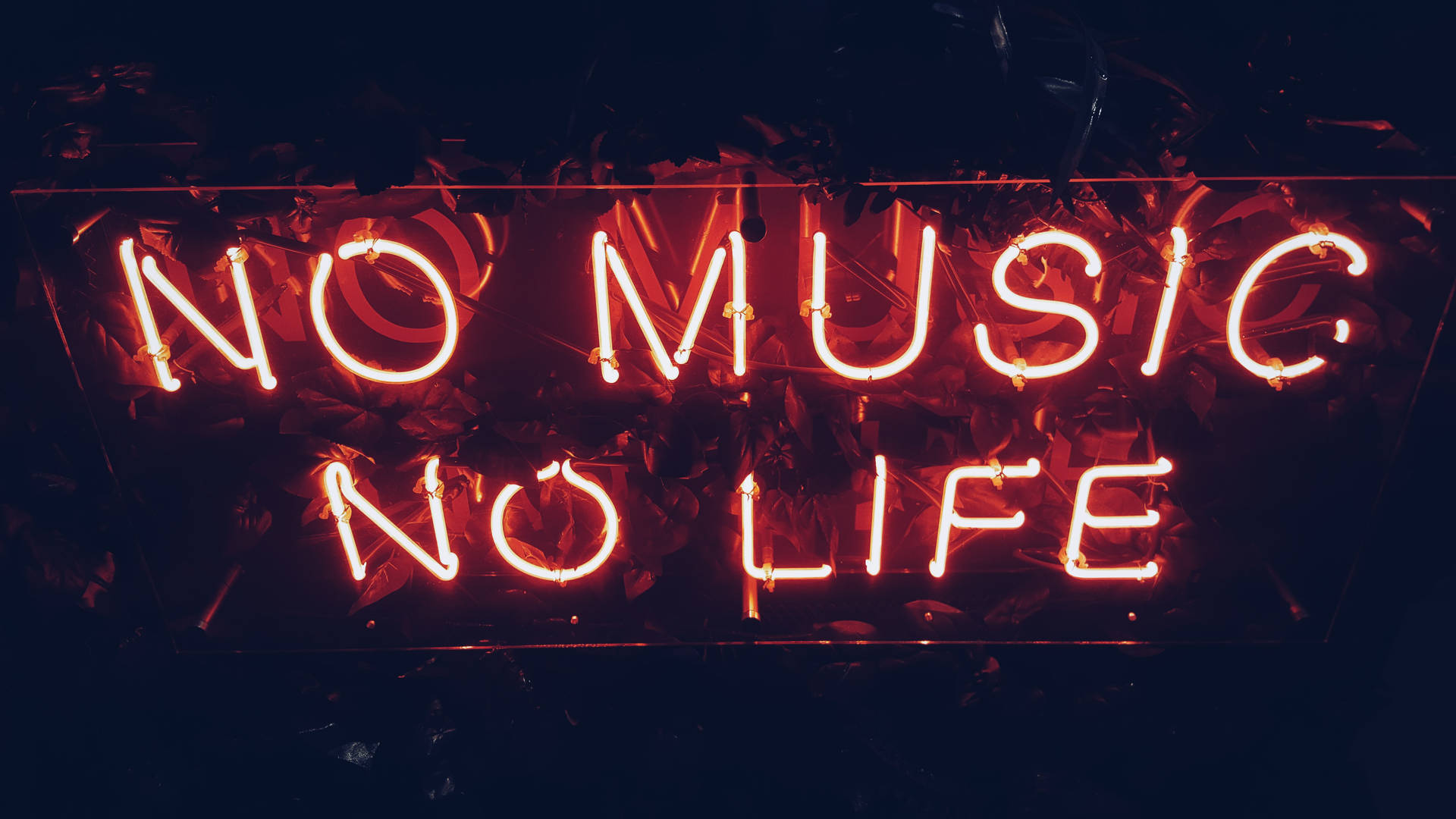 No Music No Life Neon Lights Wallpaper