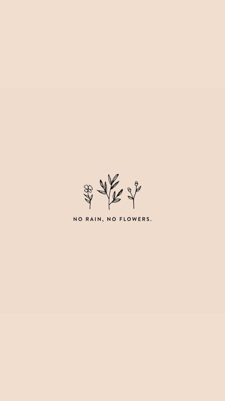 No Rain No Flowers Small Quotes