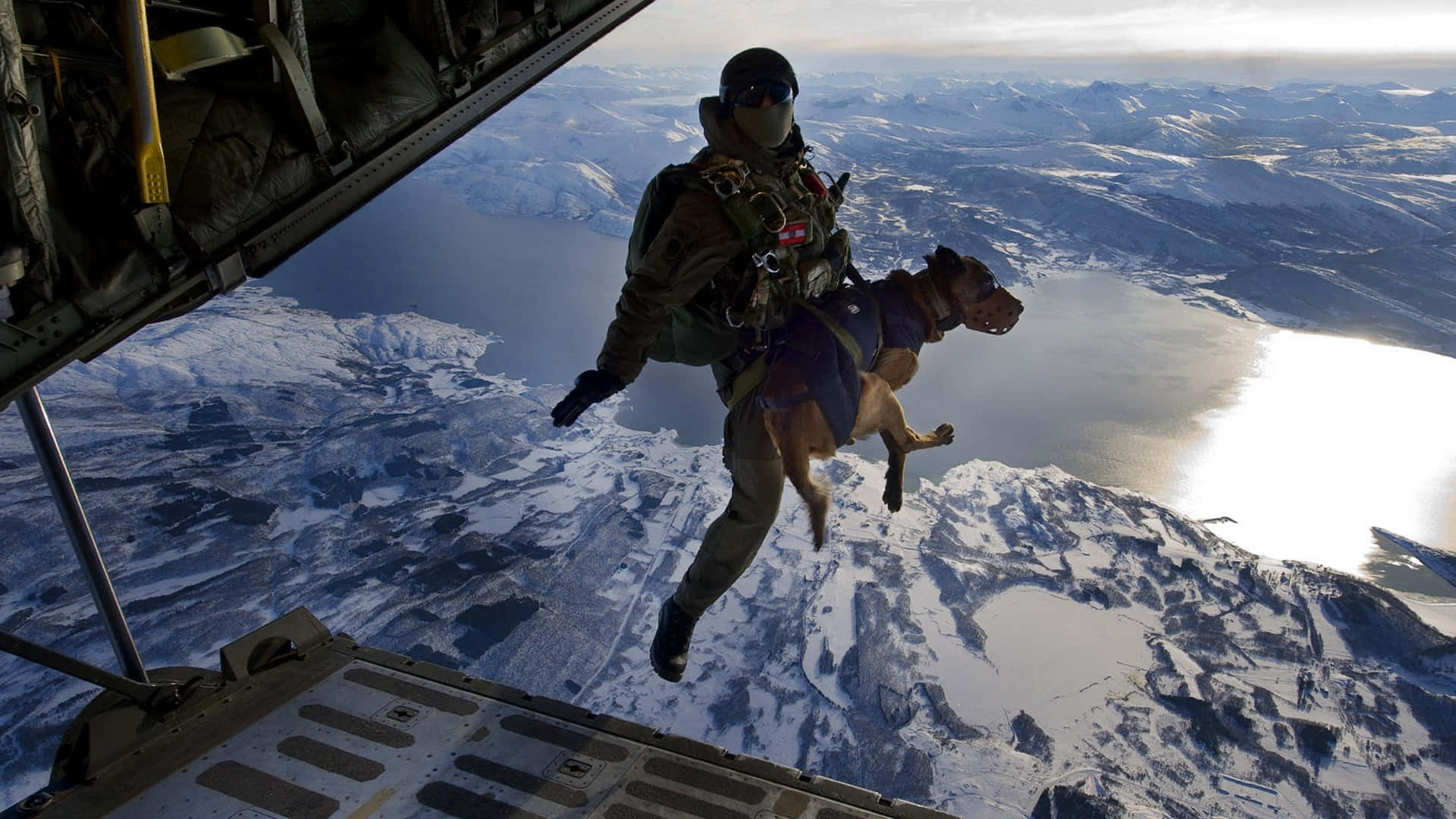 Noble Guardian - An Army Dog In Action Wallpaper